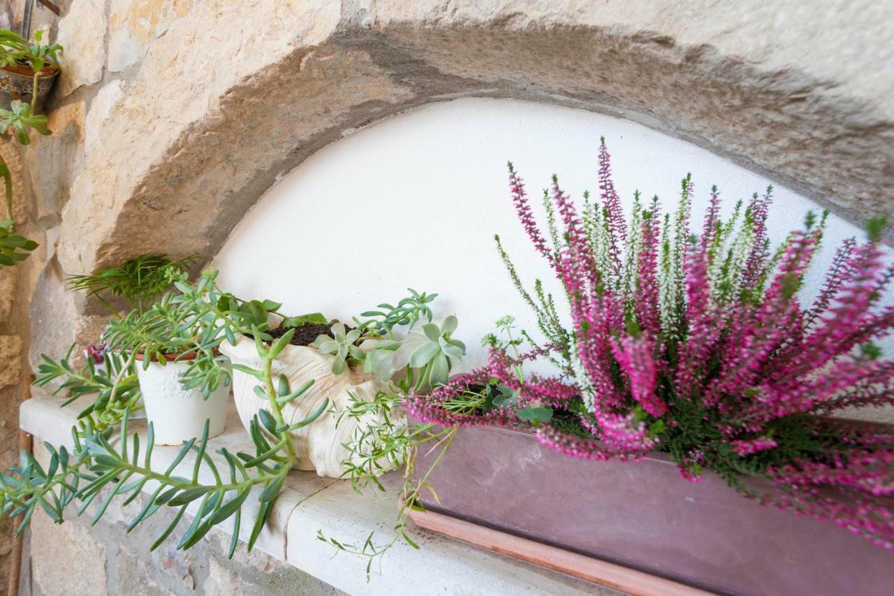 Holiday Home Lavanda Grubisic Tučepi Εξωτερικό φωτογραφία